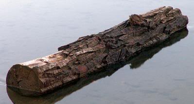 river_log.jpg